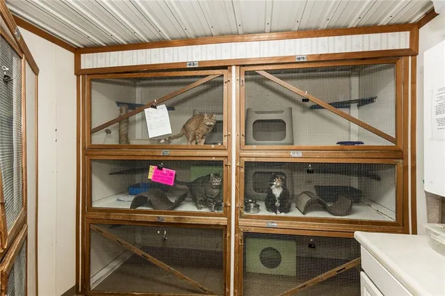 $1,250,000 | 12344 Kennel Drive, Junction City, KS 66441