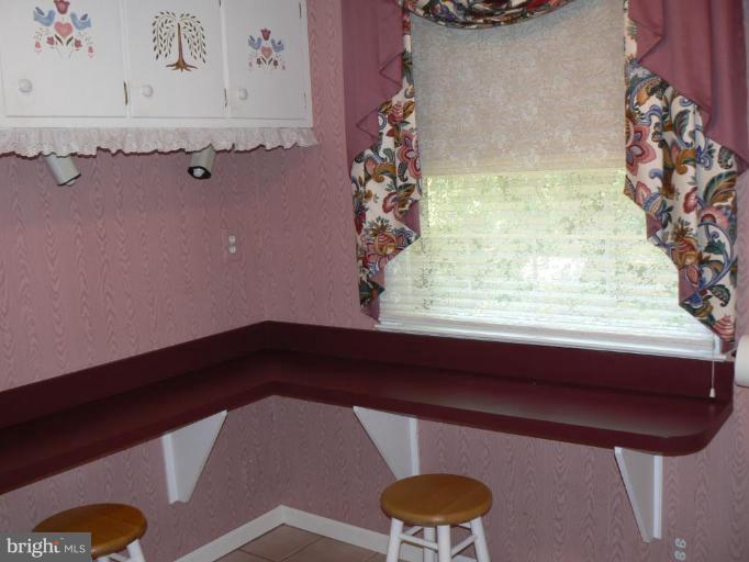 201 Poplar Road Sterling, VA 20164 - Photo 6 of 16 Kitchen Counter and Extra Cabinets