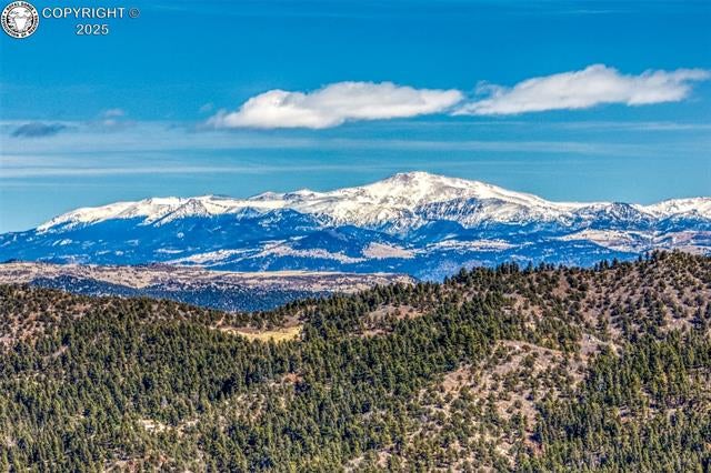 1389 Buttonwood Road Canon City, CO 81212 - Photo 37 of 39 Gallery Image 37