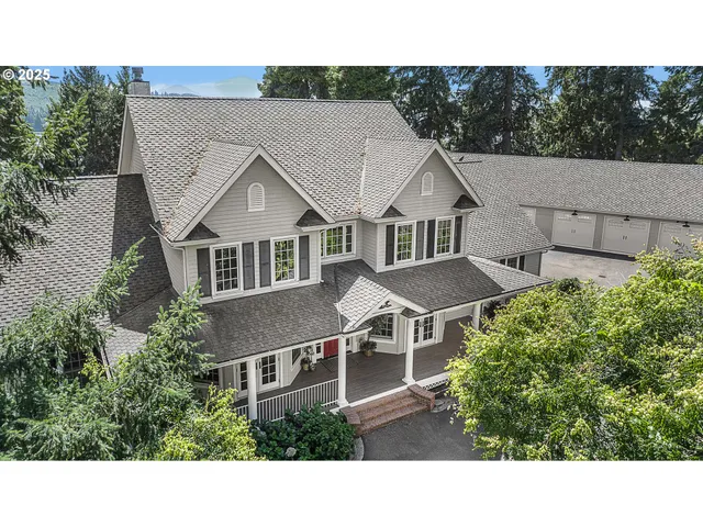 a aerial view of a house with a yard and potted plants