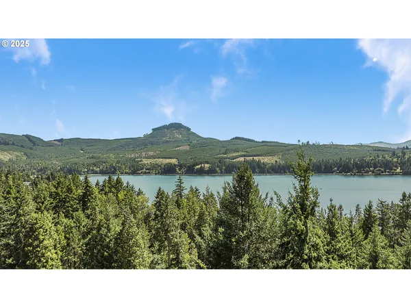 $1,299,000 | 375 Marina Vista Drive, Lowell, OR 97452