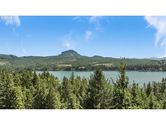 a black and white photo of a lake