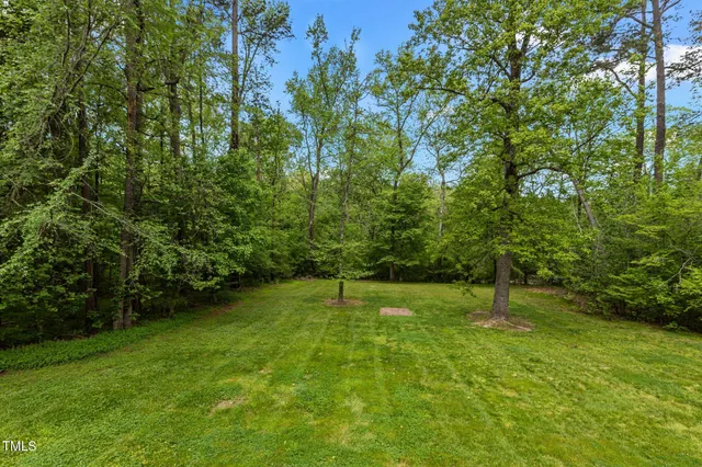 a view of a tree in a backyard of a house