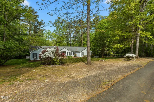 a view of a garden with plants