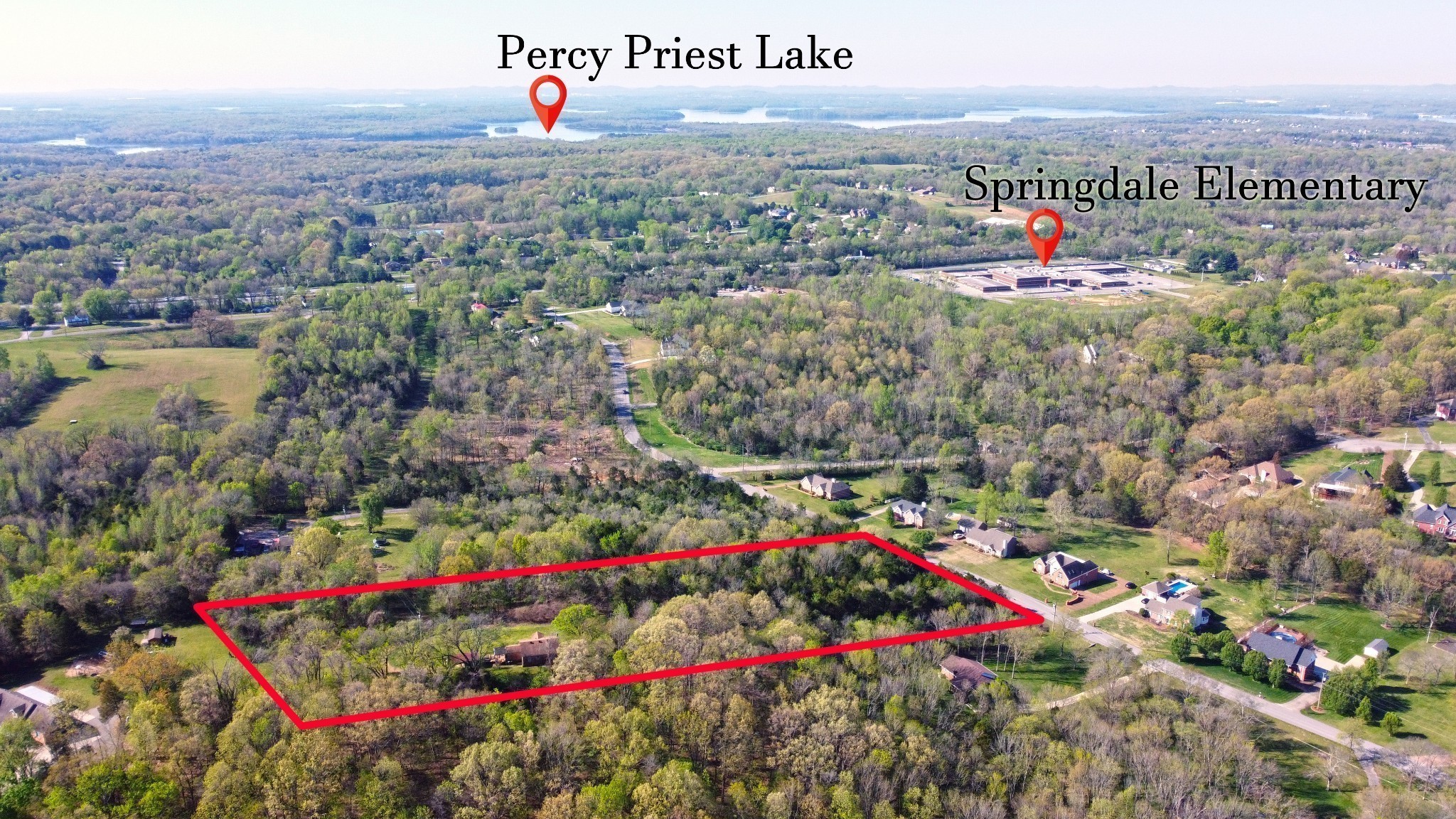 a view of city and flowers