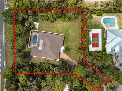 a view of a flower garden