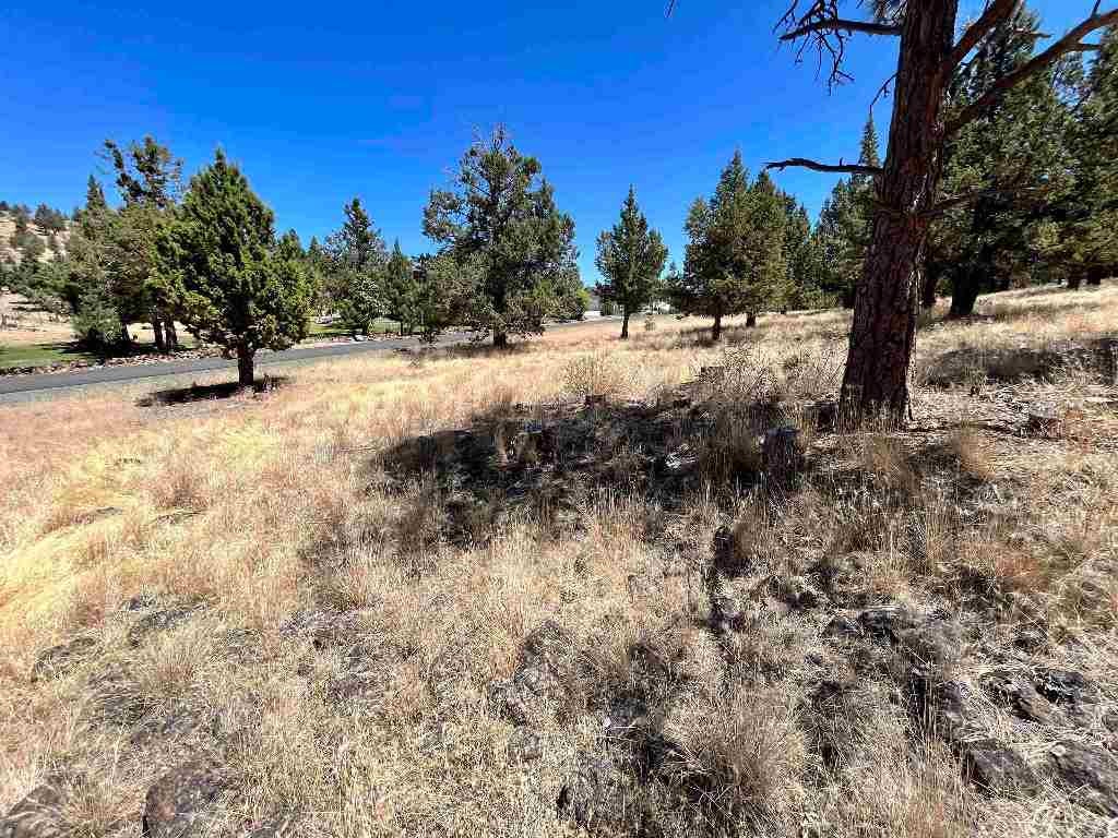 Unit 5-2 Lot 48 Browndeer Road Weed, CA 96094 - Photo 3 of 7 Gallery Image 3