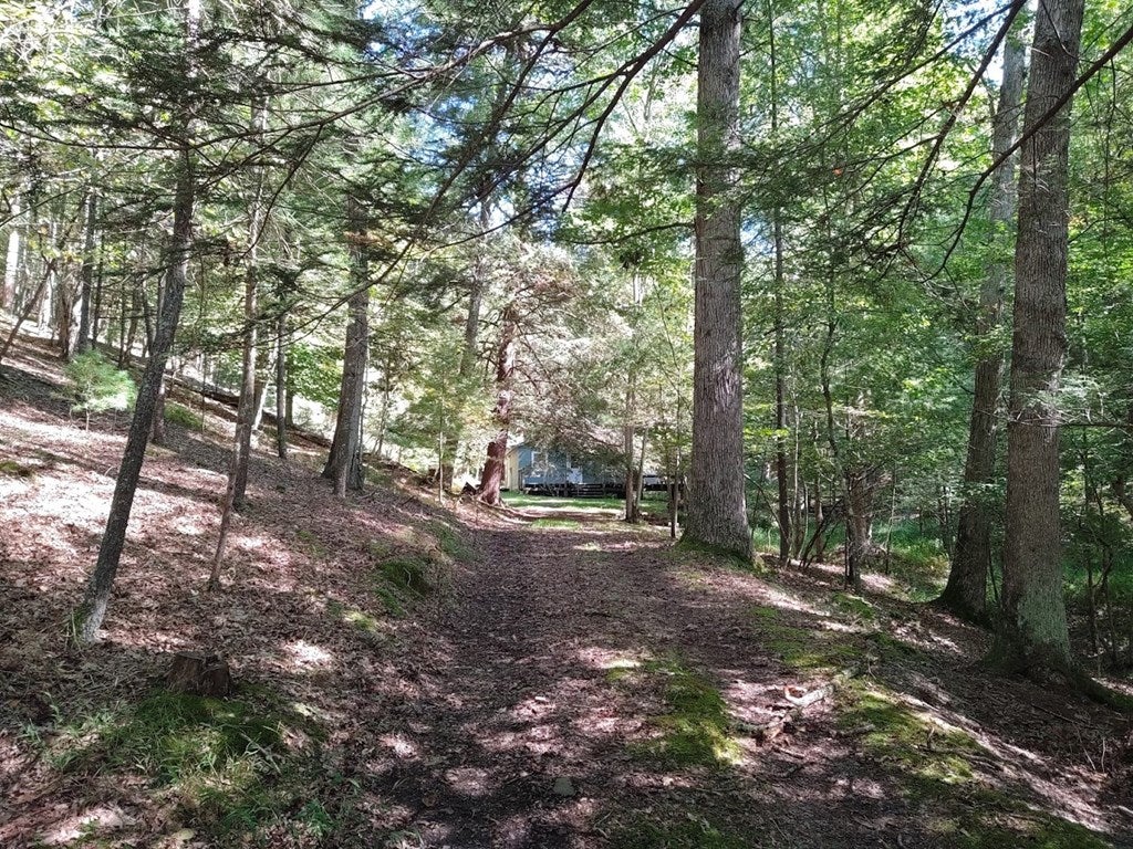7763 Sunrise Camp Road Huntingdon, PA 16652 - Photo 2 of 21 Gallery Image 2