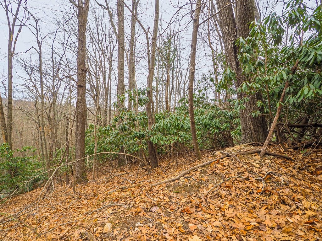 Tbd Spring Lure Trail, Unit F13 2B Fancy Gap, VA 24328 - Photo 5 of 14 Gallery Image 5
