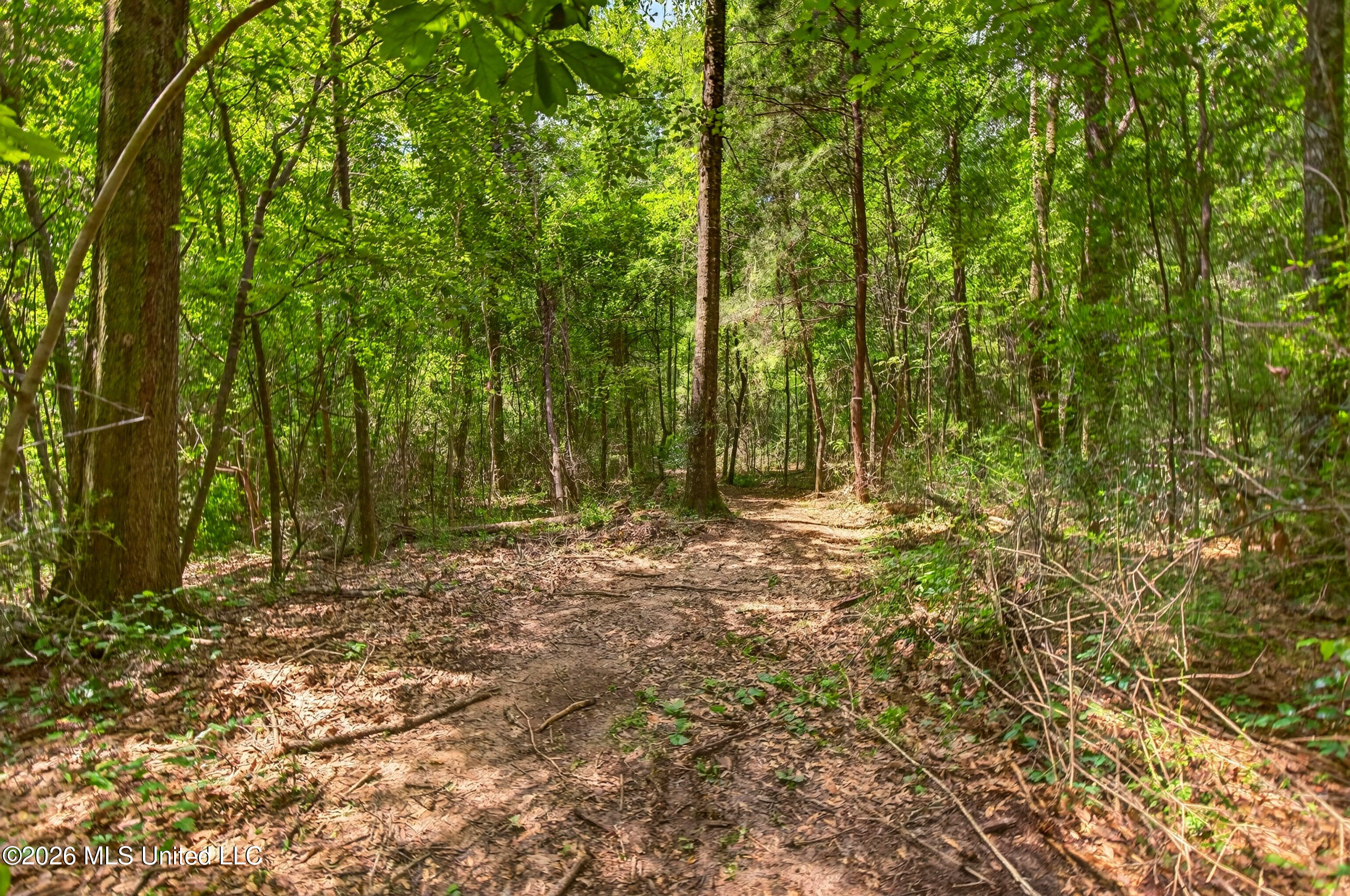 78 Game Reserve Road Columbia, MS 39429 - Photo 59 of 83 78GamerReserveRd.-11