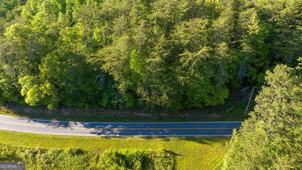 3 West Gum Log Road Warne, NC 28909 - Photo 3 of 14