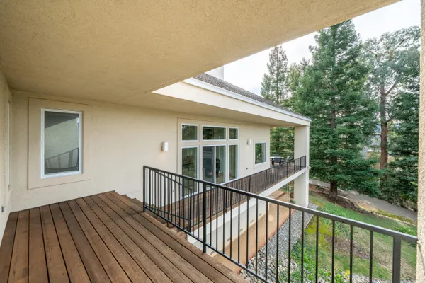 a view of a backyard with plants and trees