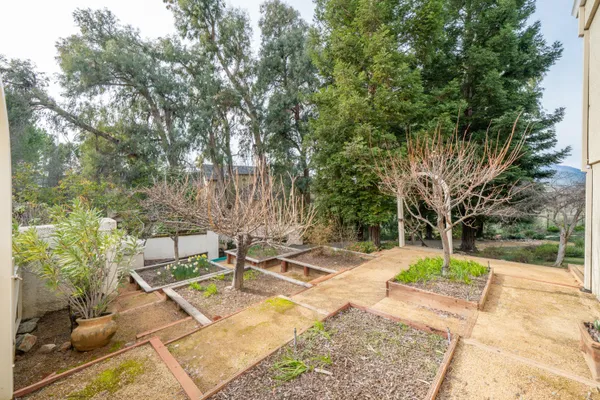 a view of a backyard with wooden fence