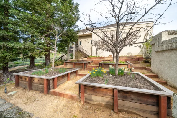 a view of a dirt road with large trees