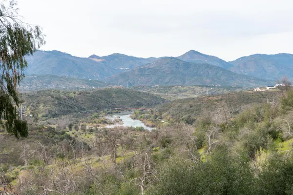 a aerial view of a house with a yard and potted plants