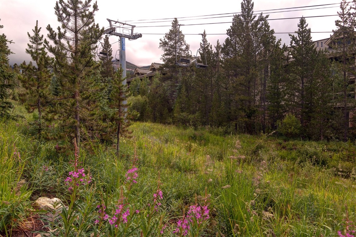 655 4 O Clock Road, Unit 301 Breckenridge, CO 80424 - Photo 19 of 23