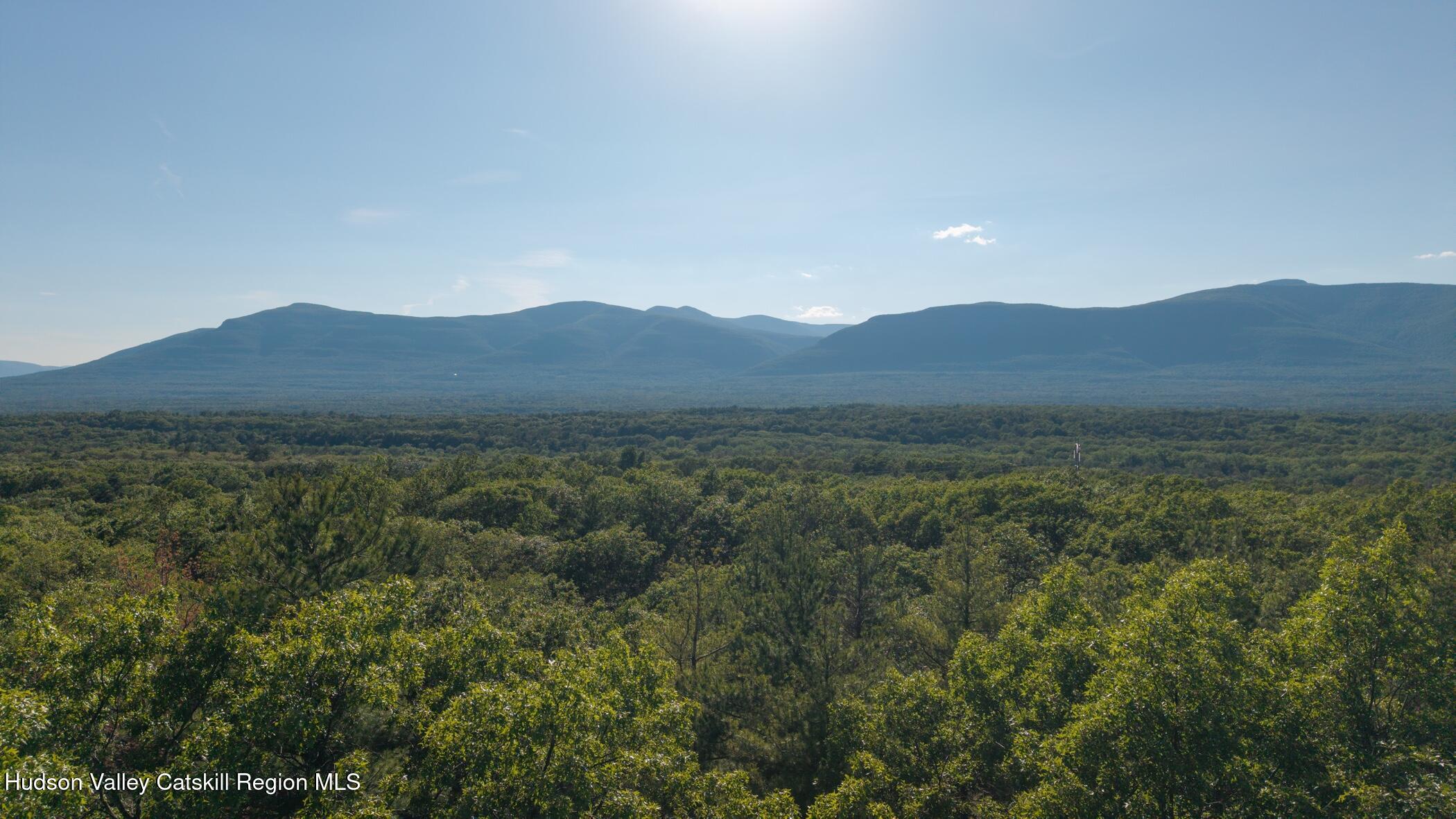 Tbd-1 Mt Airy Road Saugerties, NY 12477 - Photo 10 of 12 Mt View 6