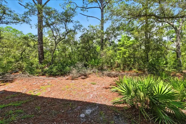 $349,000 | 14 Knotty Pine Street, Ochlockonee Bay, FL 32346