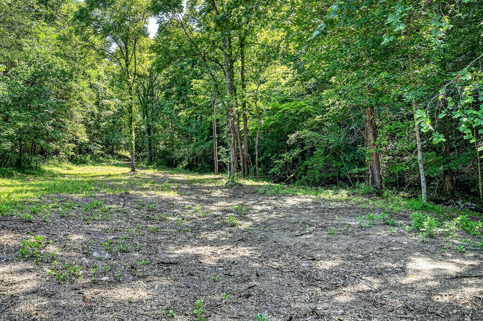 2926 Bryant Ridge Road Baxter, TN 38544 - Photo 12 of 64
