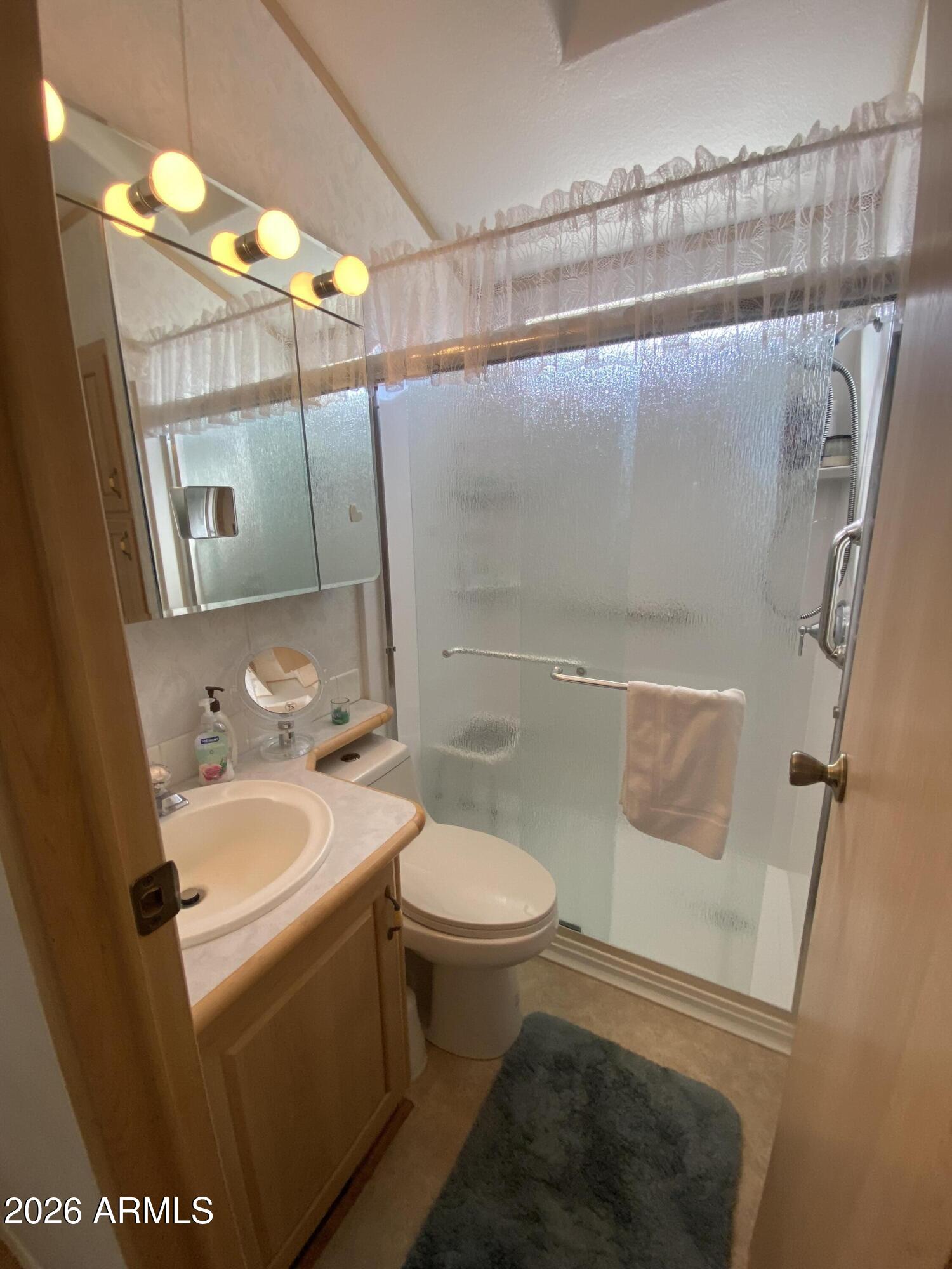 1336 West Inuit Avenue, Unit 336 Apache Junction, AZ 85119 - Photo 19 of 35 a bathroom with a sink a toilet and shower