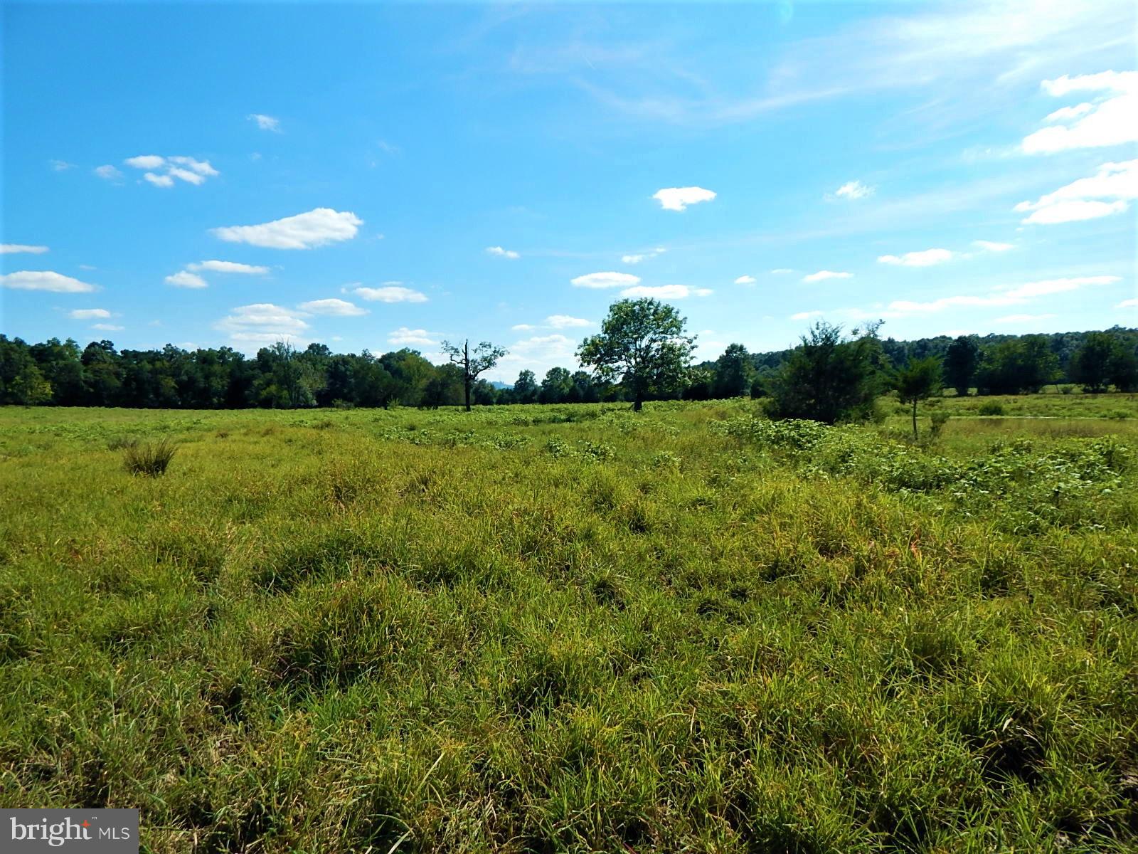 22098 Wilson Road Culpeper, VA 22701 - Photo 15 of 29 View