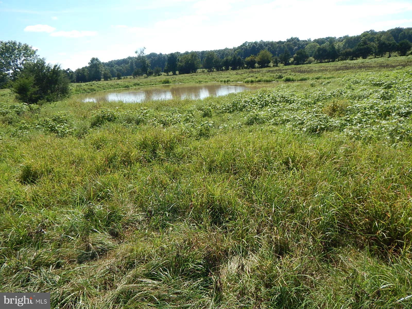 22098 Wilson Road Culpeper, VA 22701 - Photo 16 of 29 View