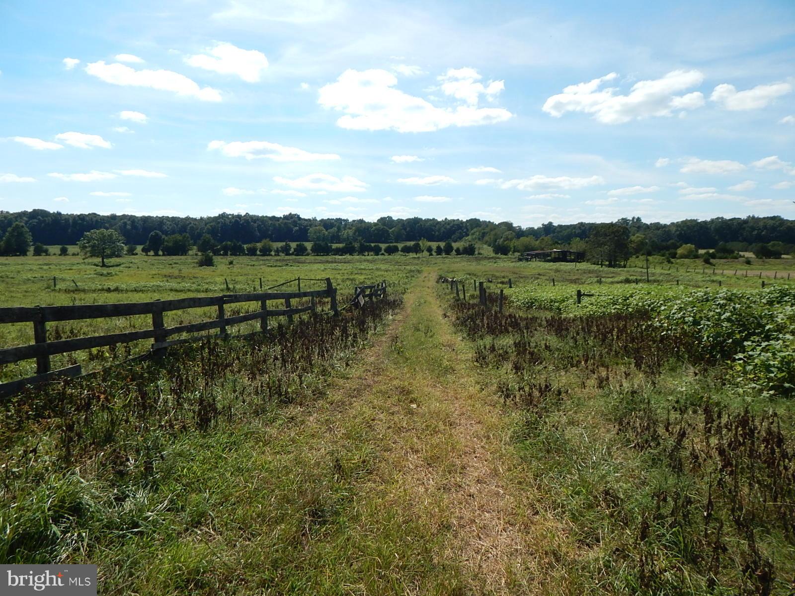 22098 Wilson Road Culpeper, VA 22701 - Photo 18 of 29 View