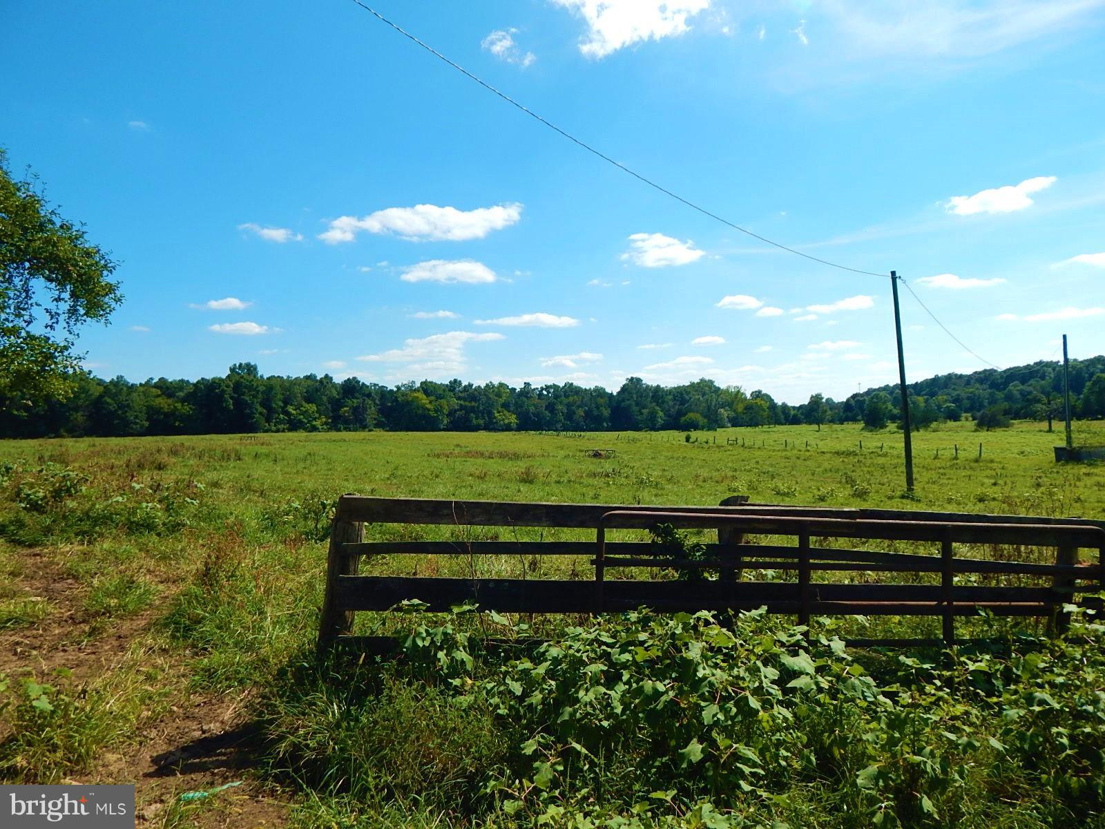 22098 Wilson Road Culpeper, VA 22701 - Photo 19 of 29 View