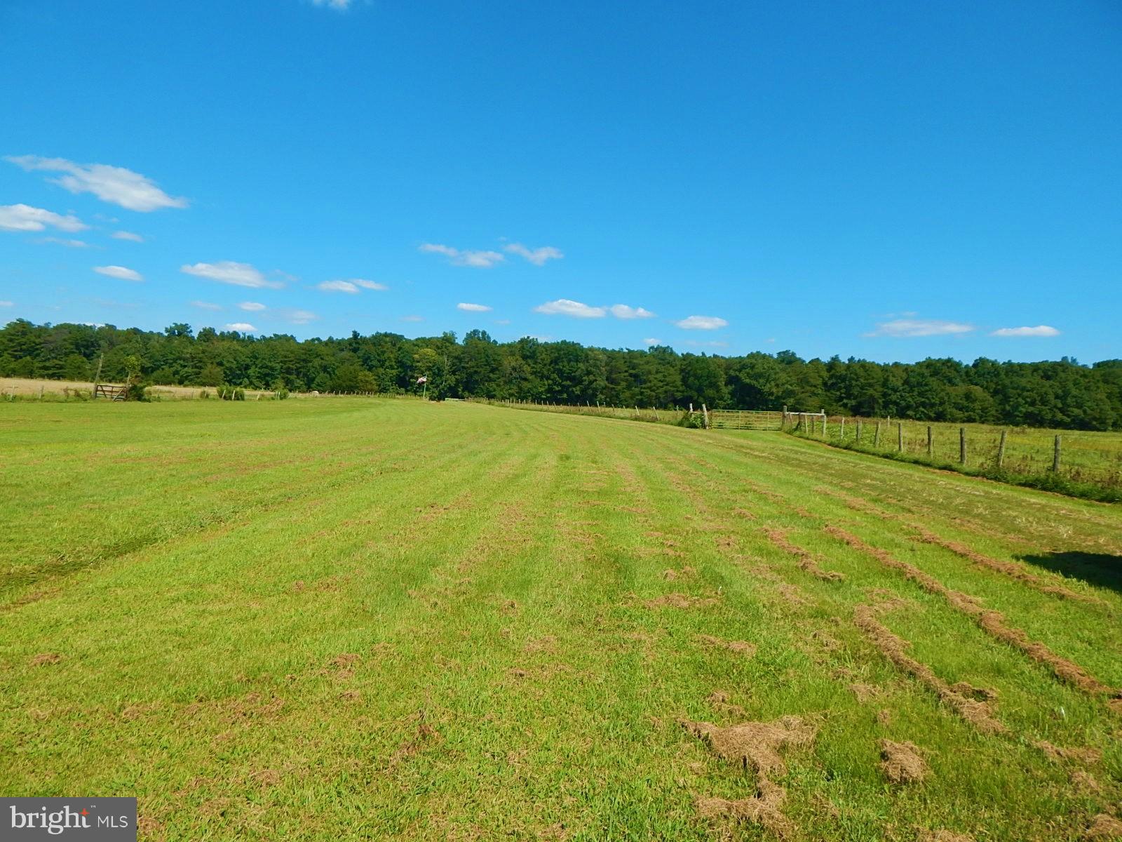 22098 Wilson Road Culpeper, VA 22701 - Photo 21 of 29 View