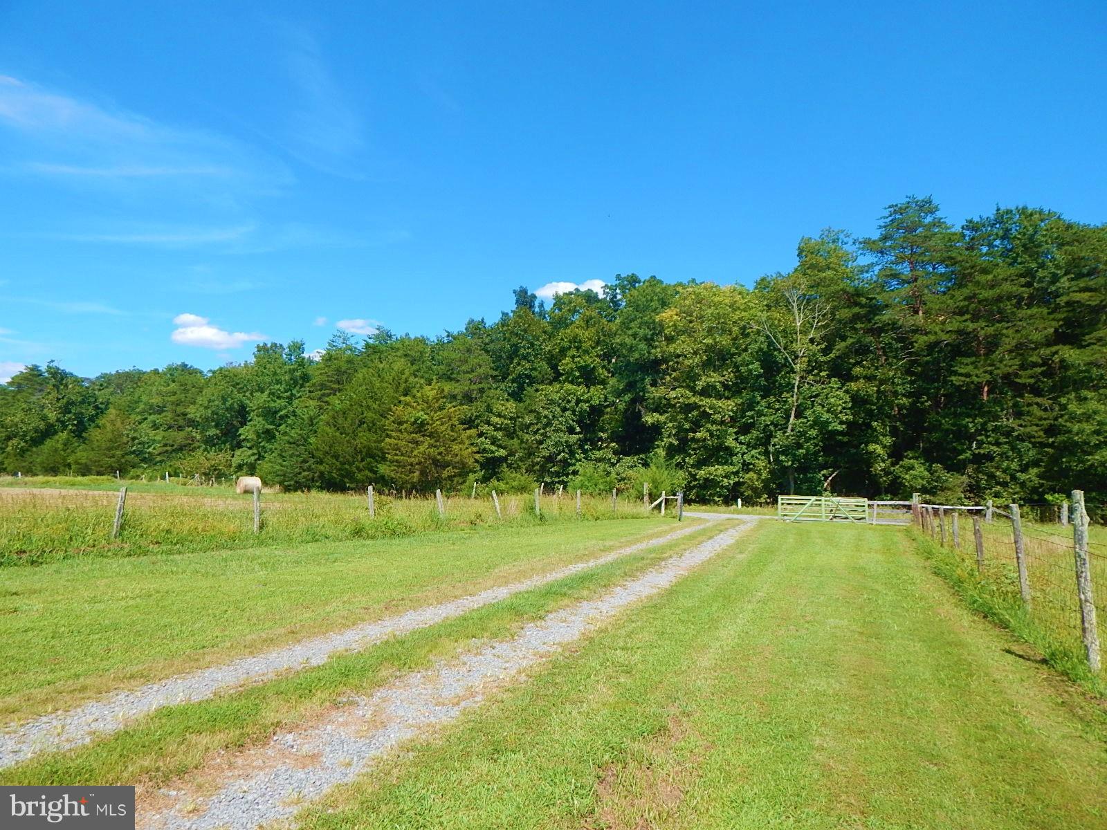 22098 Wilson Road Culpeper, VA 22701 - Photo 22 of 29 View