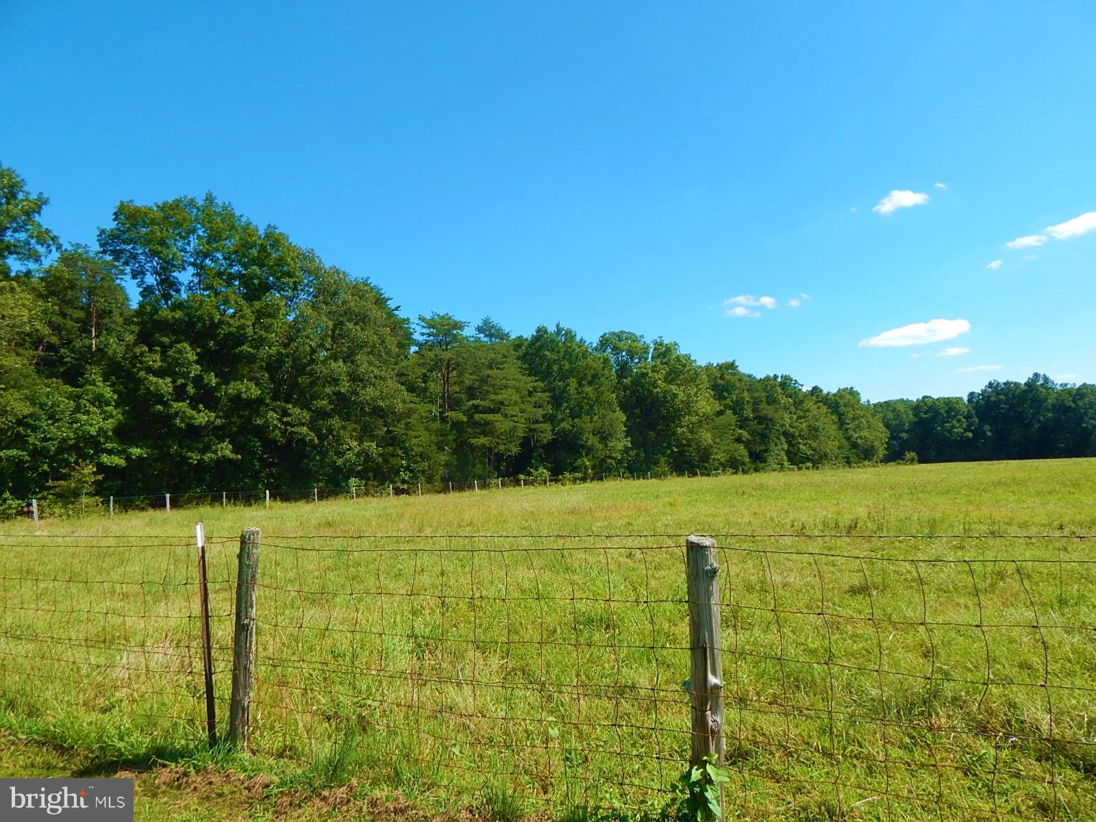 22098 Wilson Road Culpeper, VA 22701 - Photo 23 of 29 View
