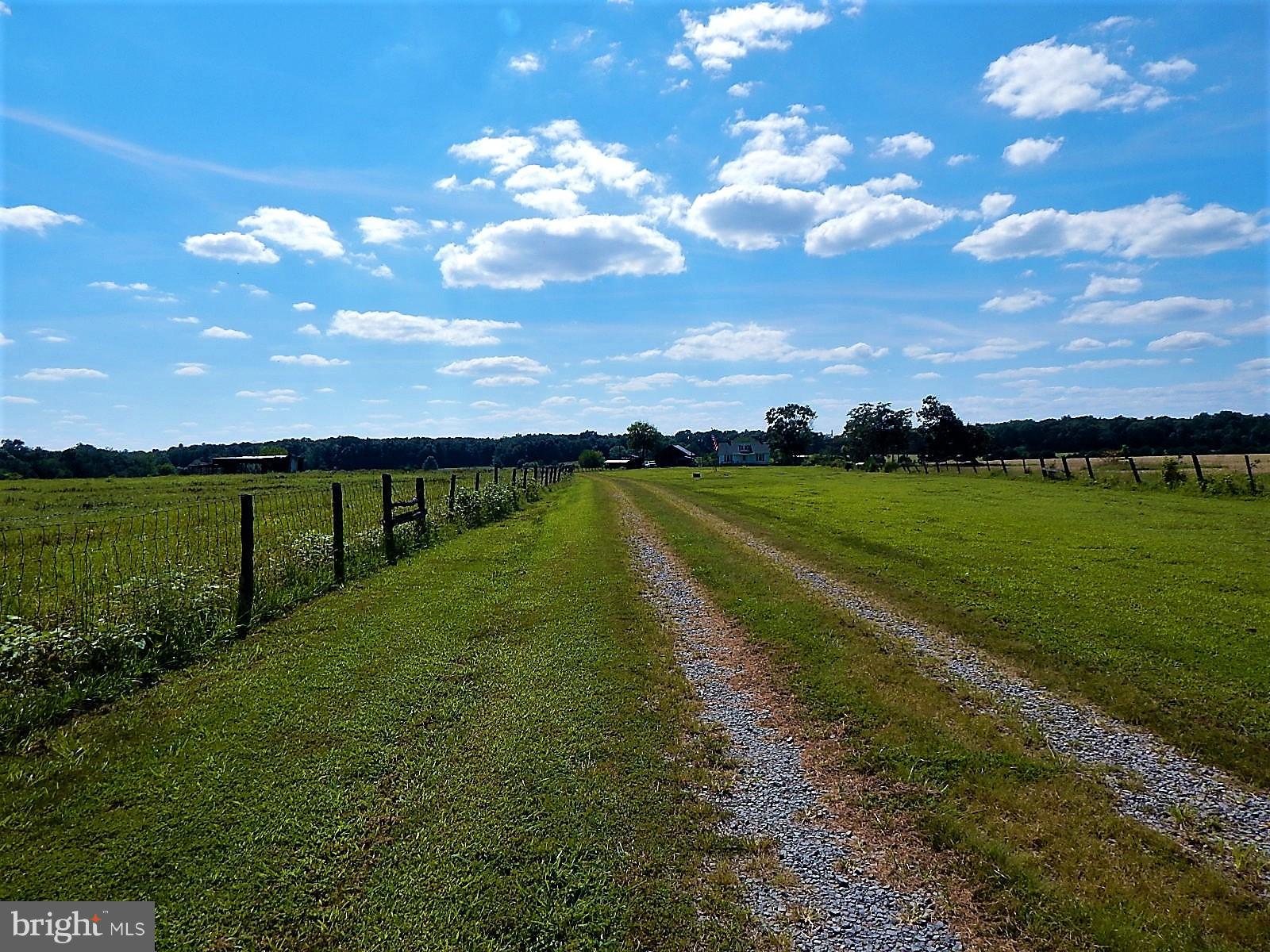 22098 Wilson Road Culpeper, VA 22701 - Photo 24 of 29 View
