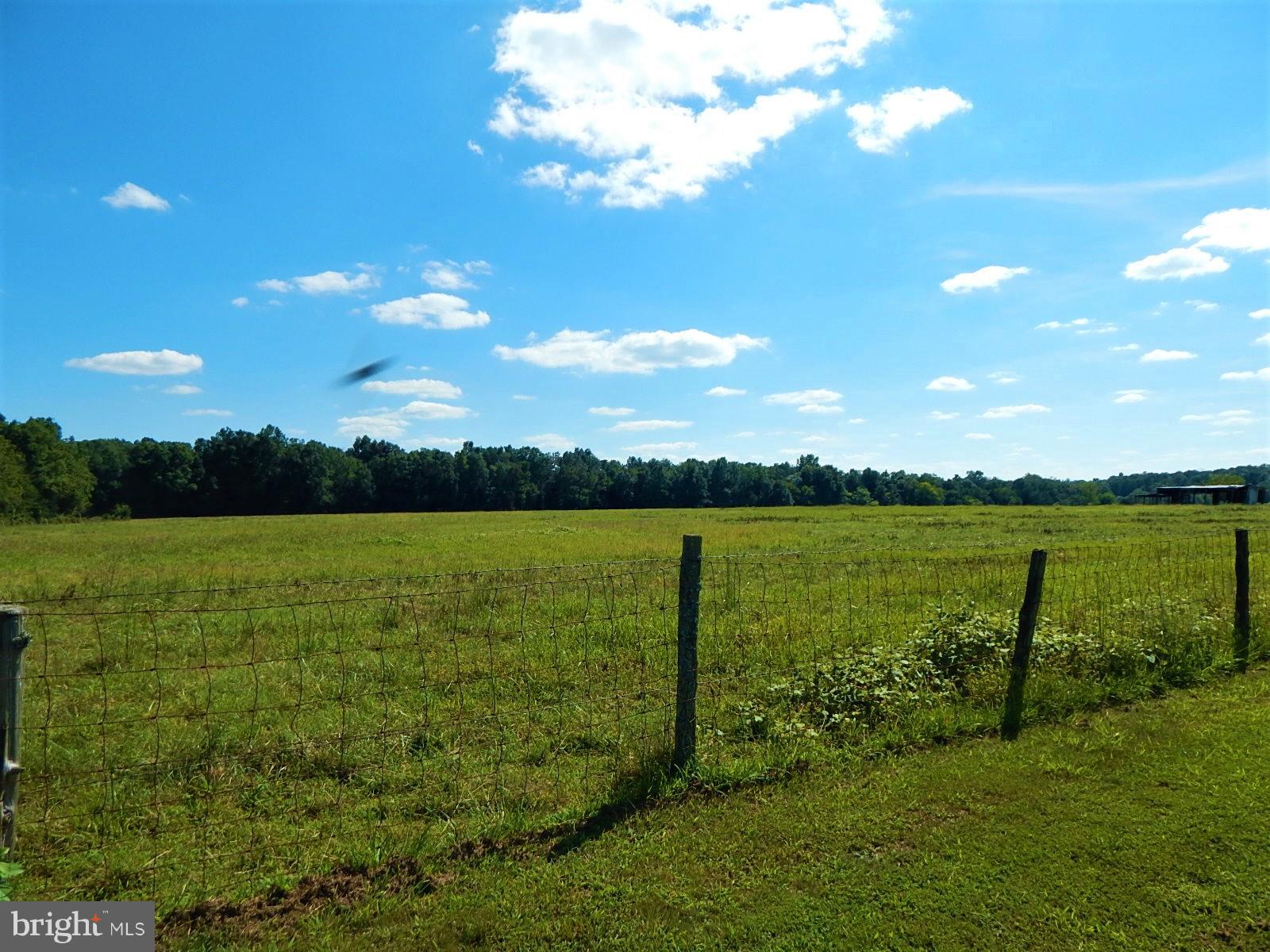 22098 Wilson Road Culpeper, VA 22701 - Photo 25 of 29 View