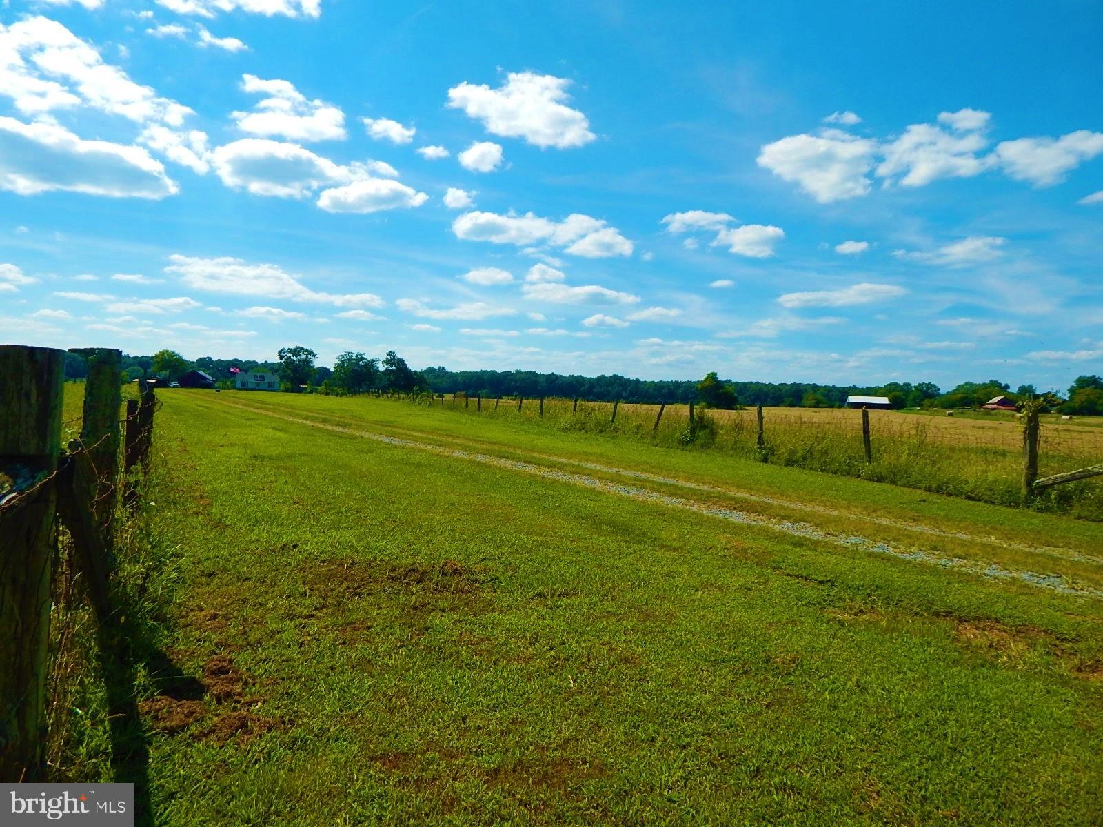 22098 Wilson Road Culpeper, VA 22701 - Photo 26 of 29 View