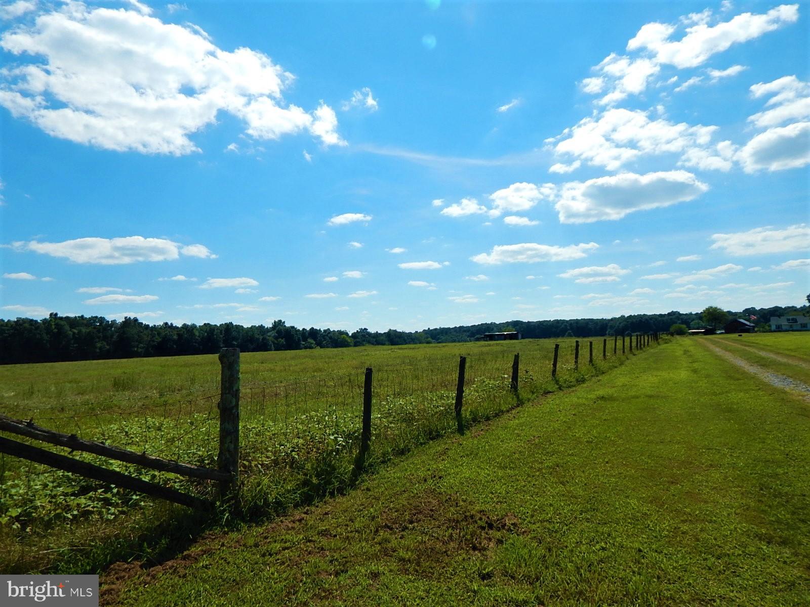 22098 Wilson Road Culpeper, VA 22701 - Photo 27 of 29 View
