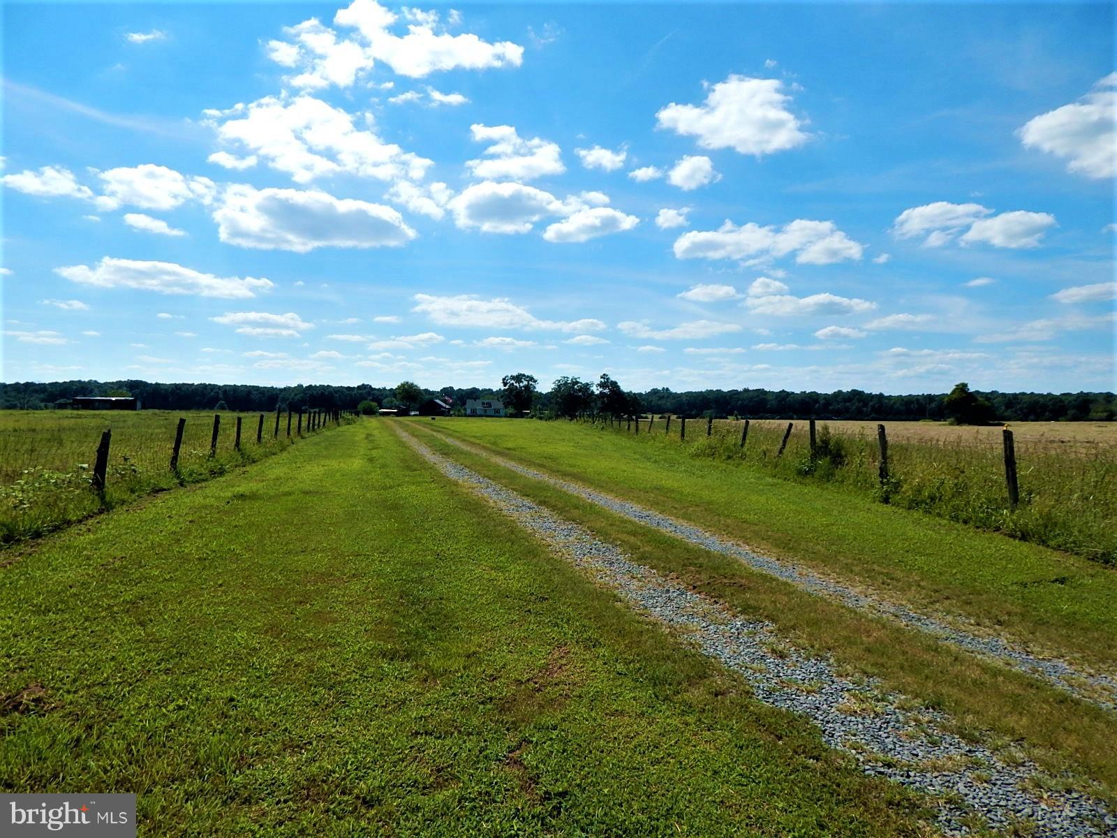 22098 Wilson Road Culpeper, VA 22701 - Photo 28 of 29 View