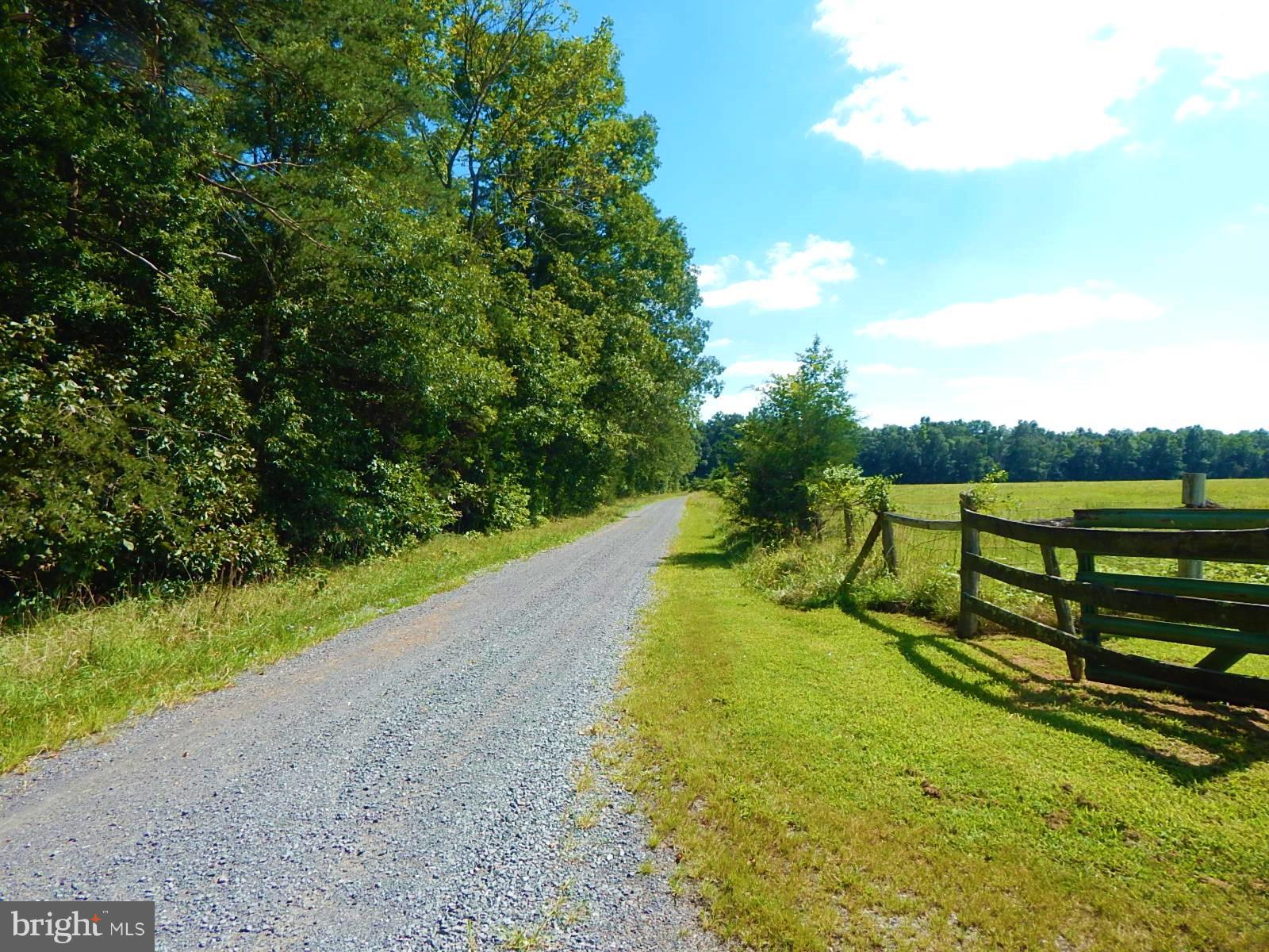 22098 Wilson Road Culpeper, VA 22701 - Photo 29 of 29 View