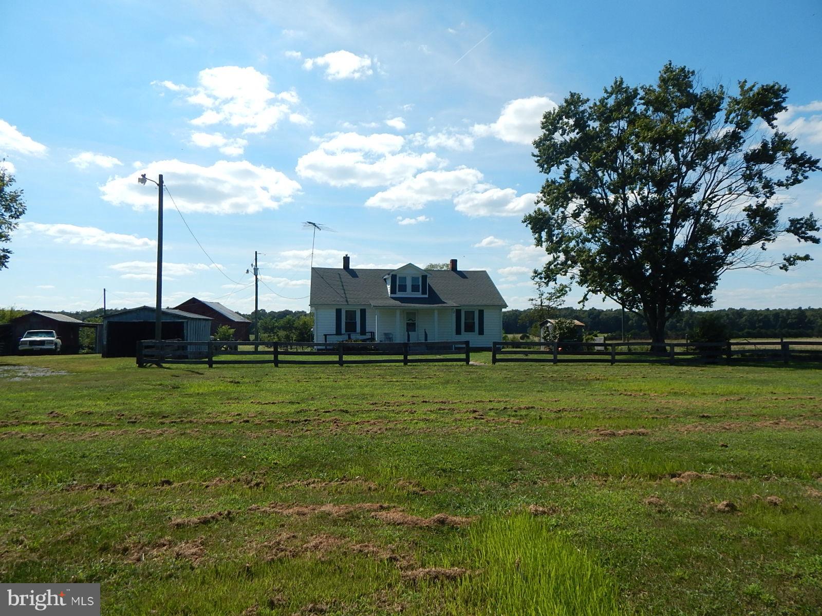 22098 Wilson Road Culpeper, VA 22701 - Photo 6 of 29 Exterior (General)
