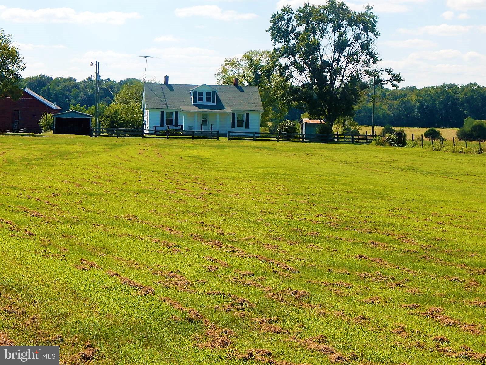 22098 Wilson Road Culpeper, VA 22701 - Photo 7 of 29 Exterior (General)