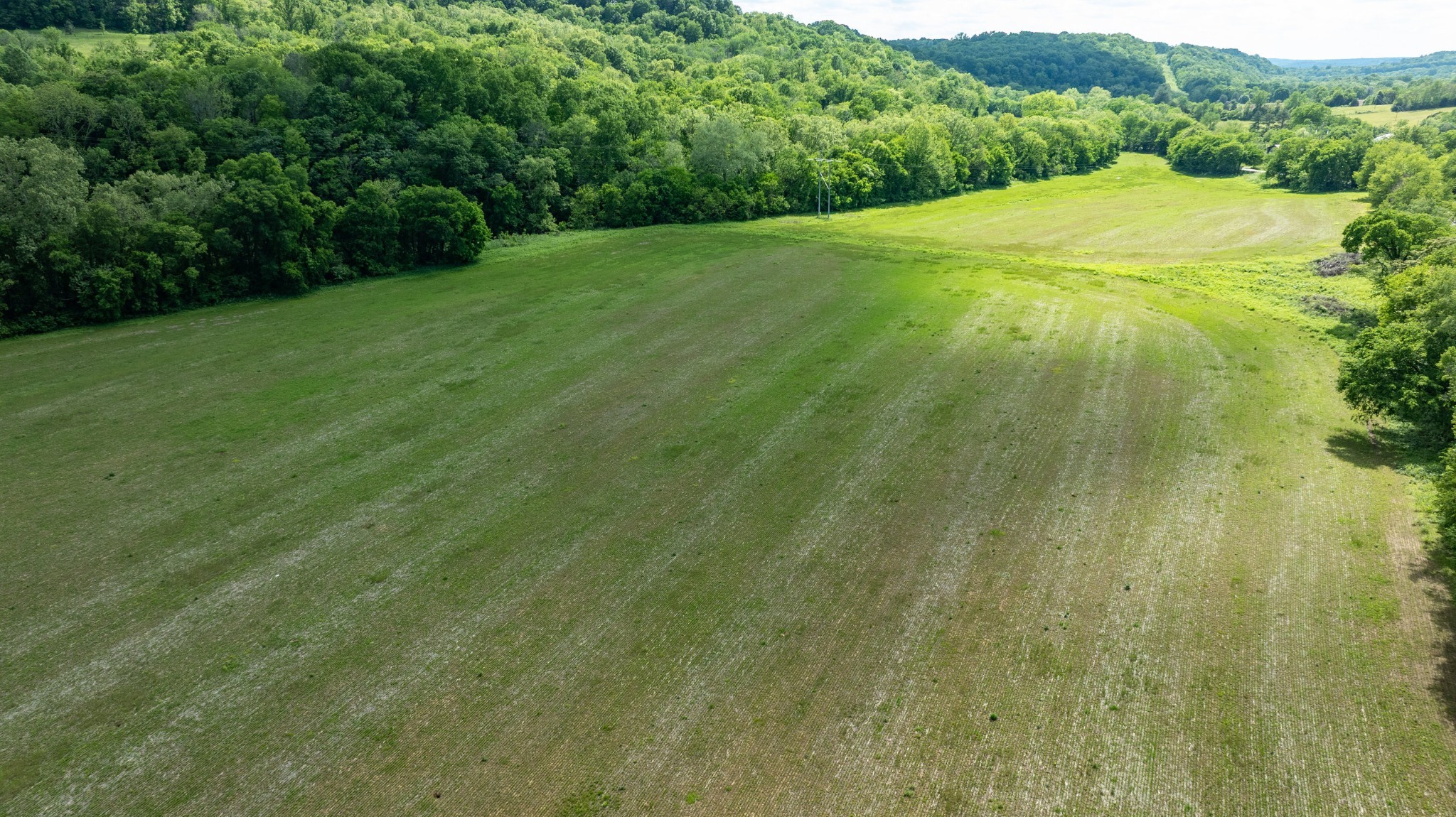 0 Snow Creek Road Santa Fe, TN 38482 - Photo 40 of 63 Gallery Image 40