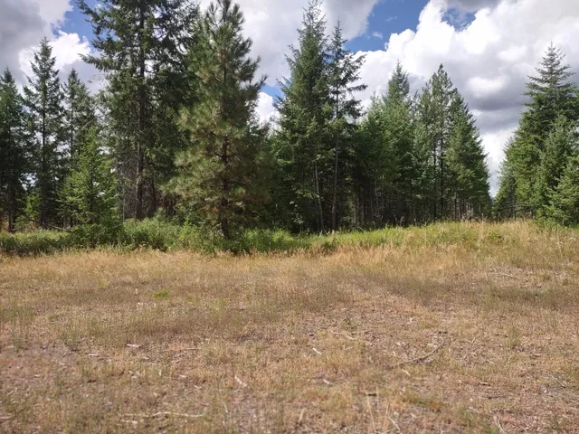 $679,000 | 5105 Rose Hill Road, Springdale, WA 99173