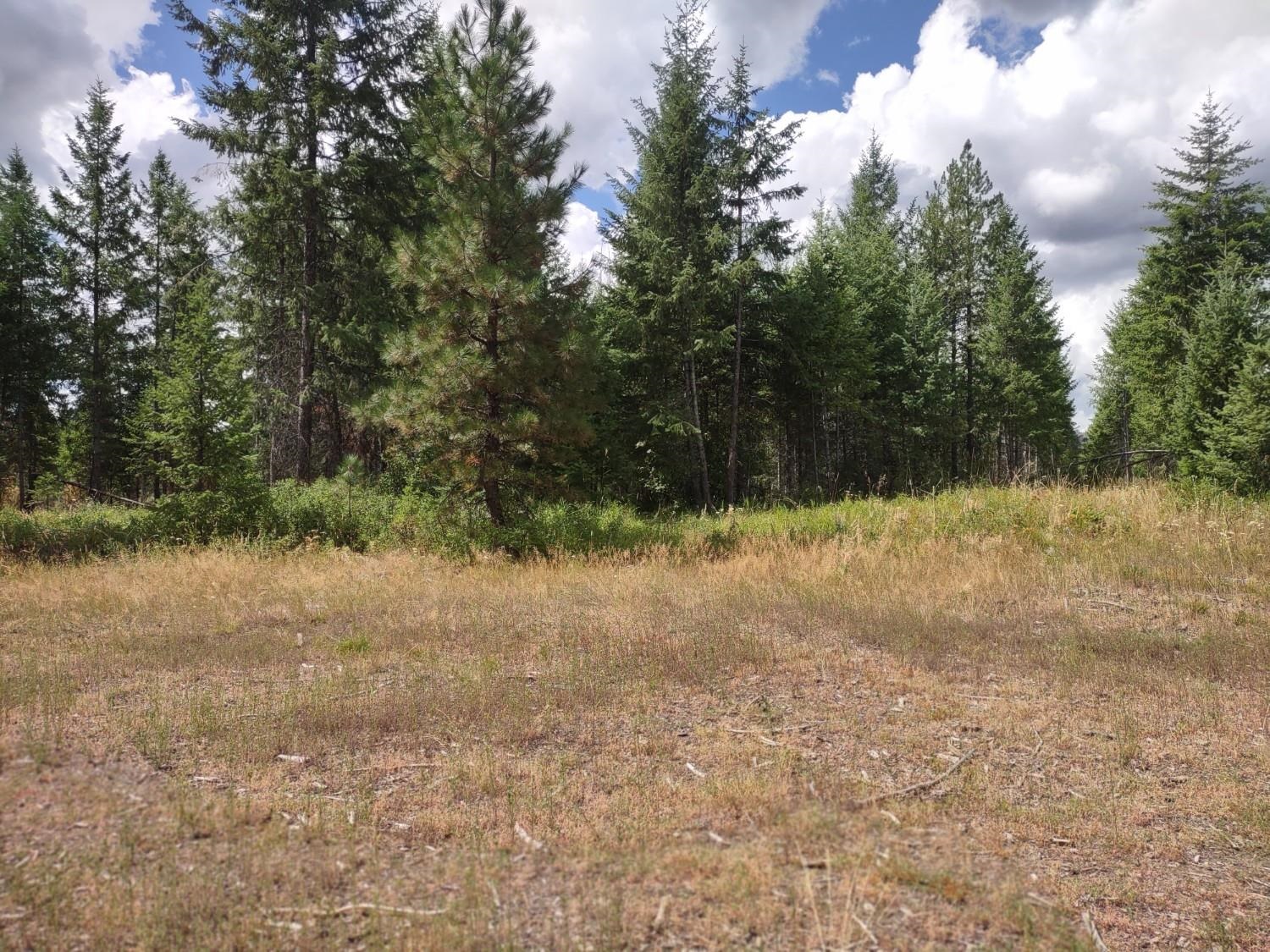 5105 Rose Hill Road Springdale, WA 99173 - Photo 38 of 50