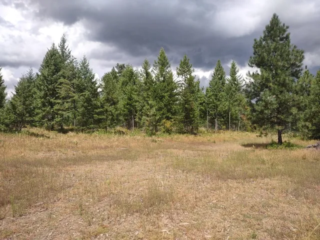 $679,000 | 5105 Rose Hill Road, Springdale, WA 99173