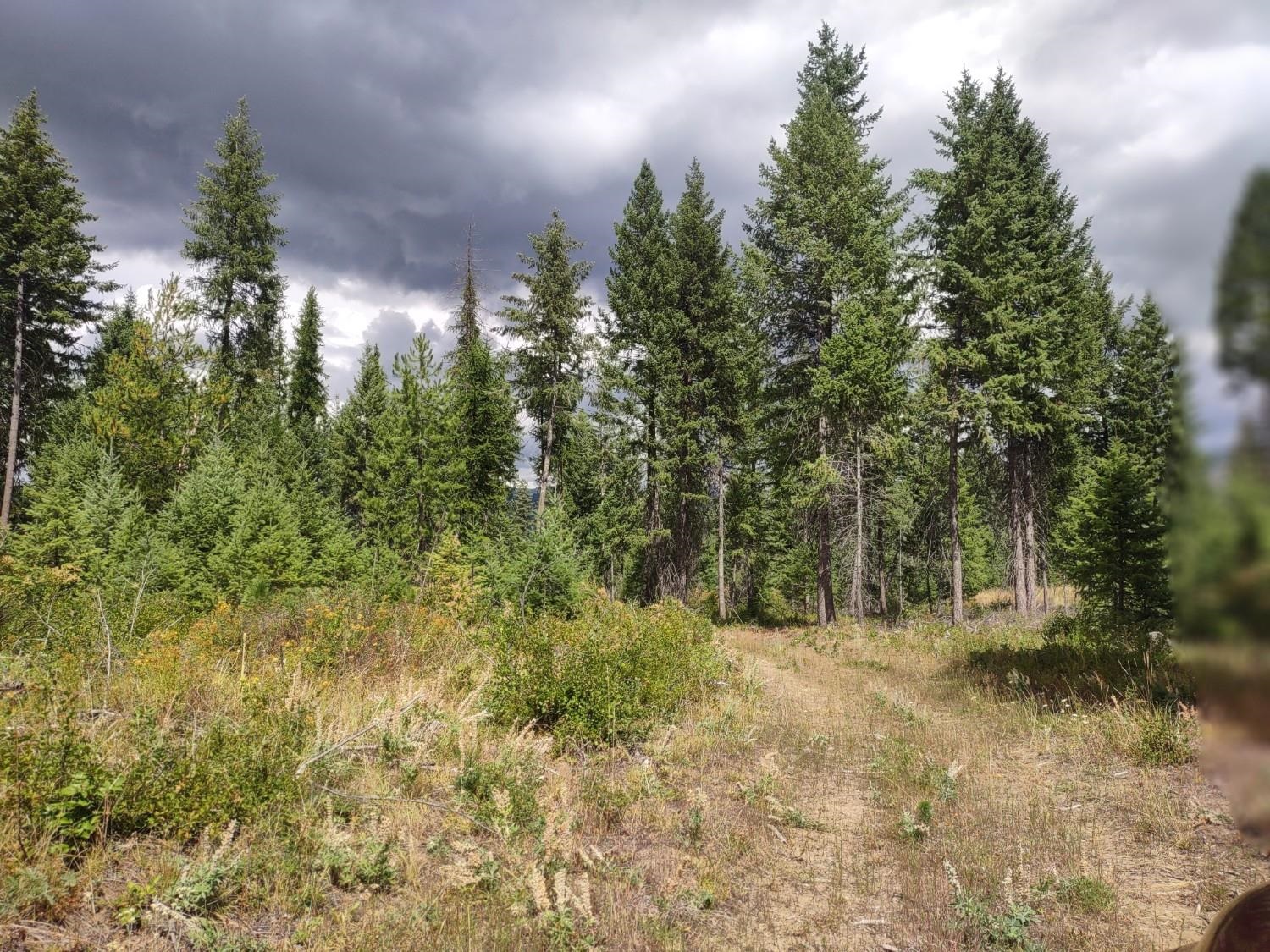 5105 Rose Hill Road Springdale, WA 99173 - Photo 40 of 50