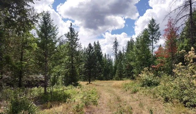 $679,000 | 5105 Rose Hill Road, Springdale, WA 99173