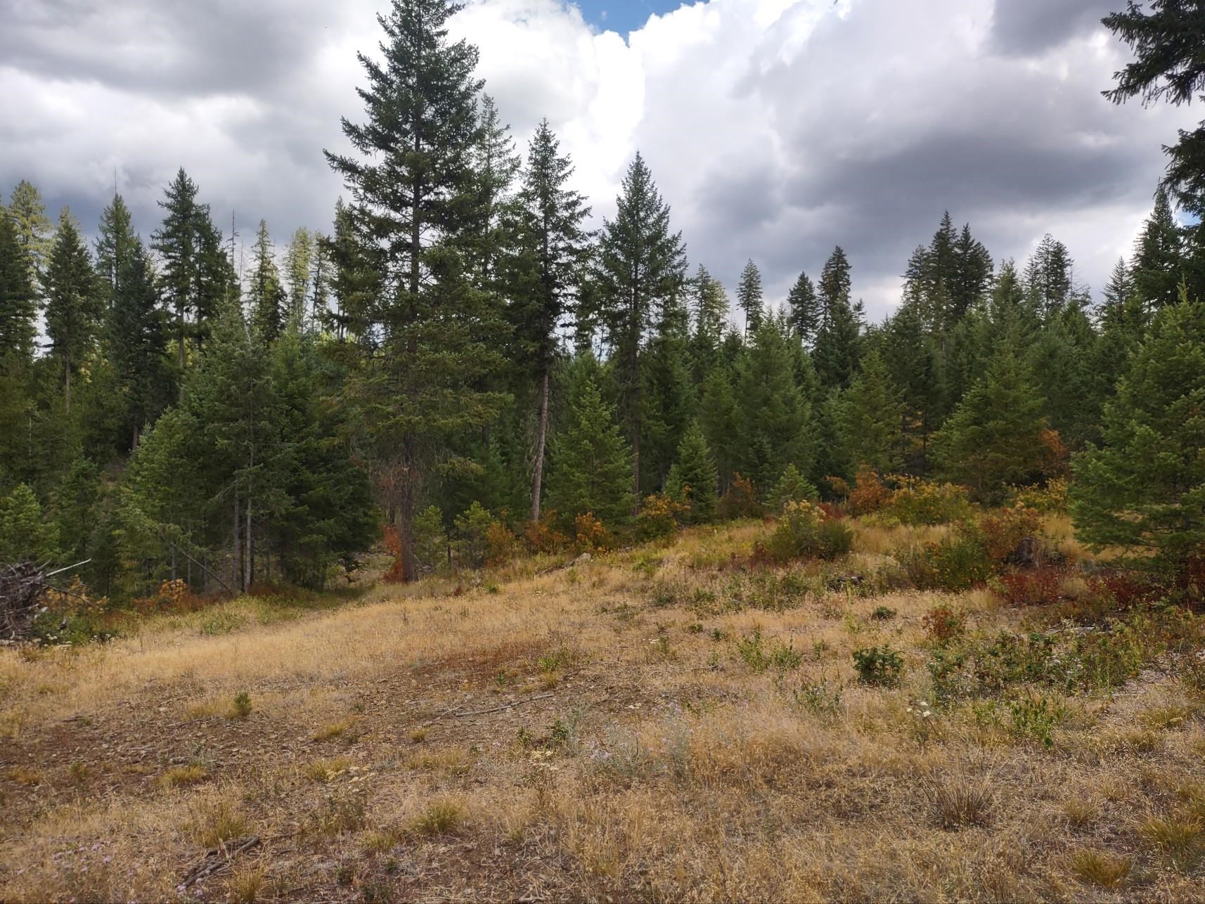 5105 Rose Hill Road Springdale, WA 99173 - Photo 42 of 50