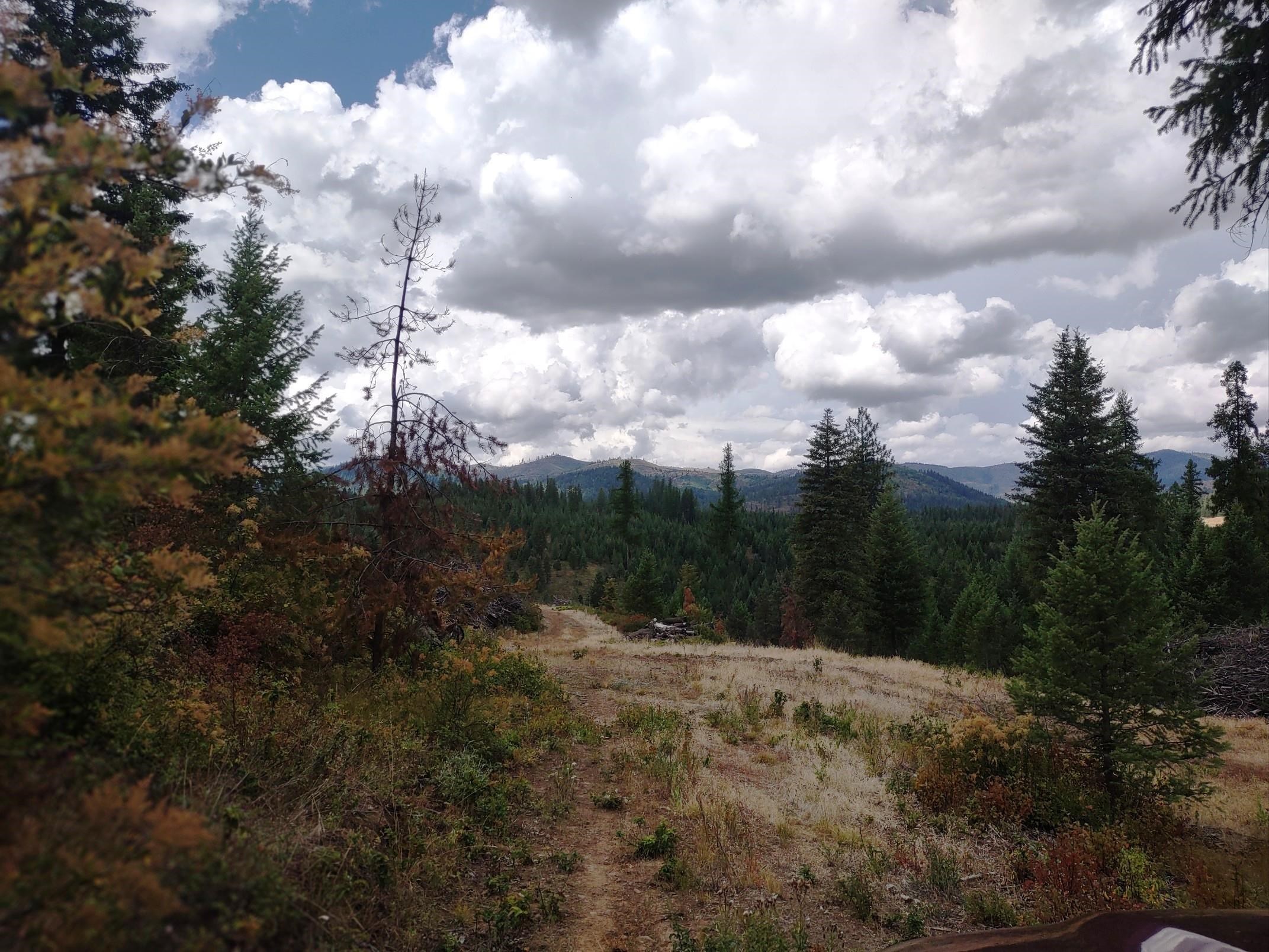 5105 Rose Hill Road Springdale, WA 99173 - Photo 45 of 50