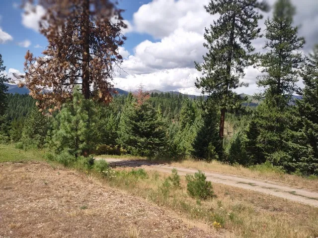 $679,000 | 5105 Rose Hill Road, Springdale, WA 99173