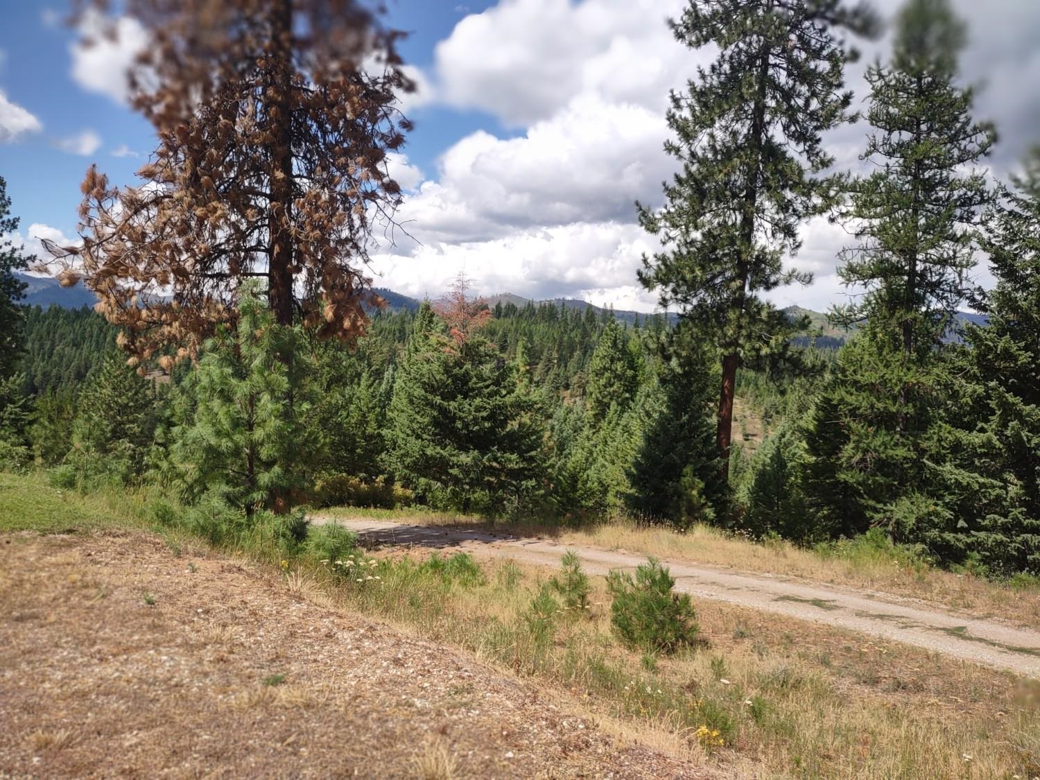 5105 Rose Hill Road Springdale, WA 99173 - Photo 46 of 50