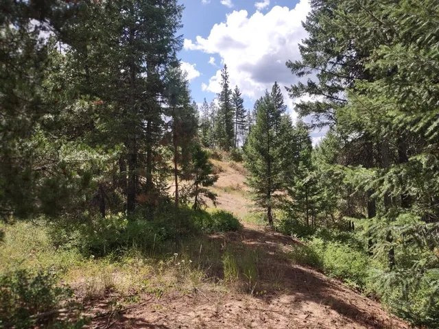 $679,000 | 5105 Rose Hill Road, Springdale, WA 99173